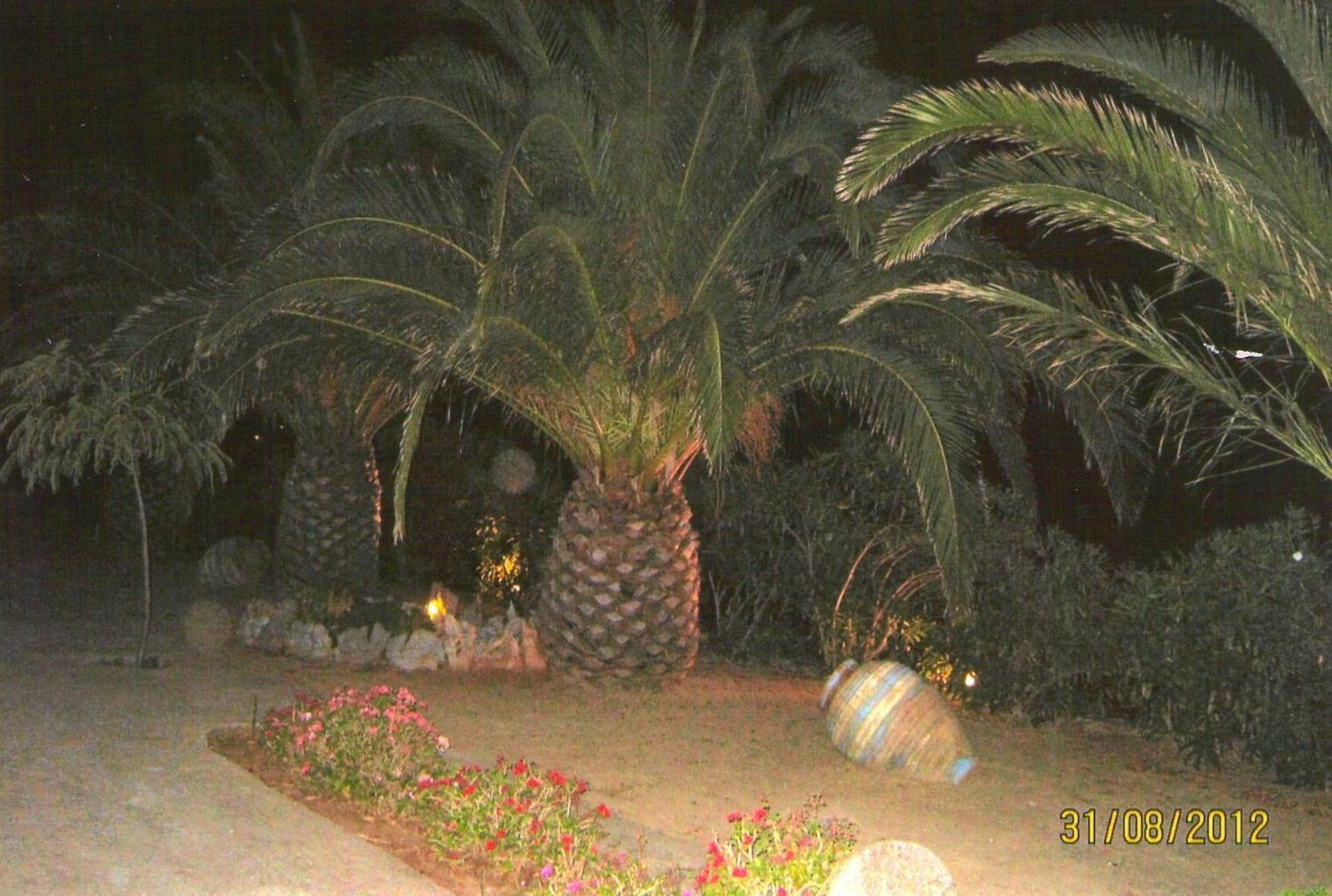 Cerigo House Apartmán