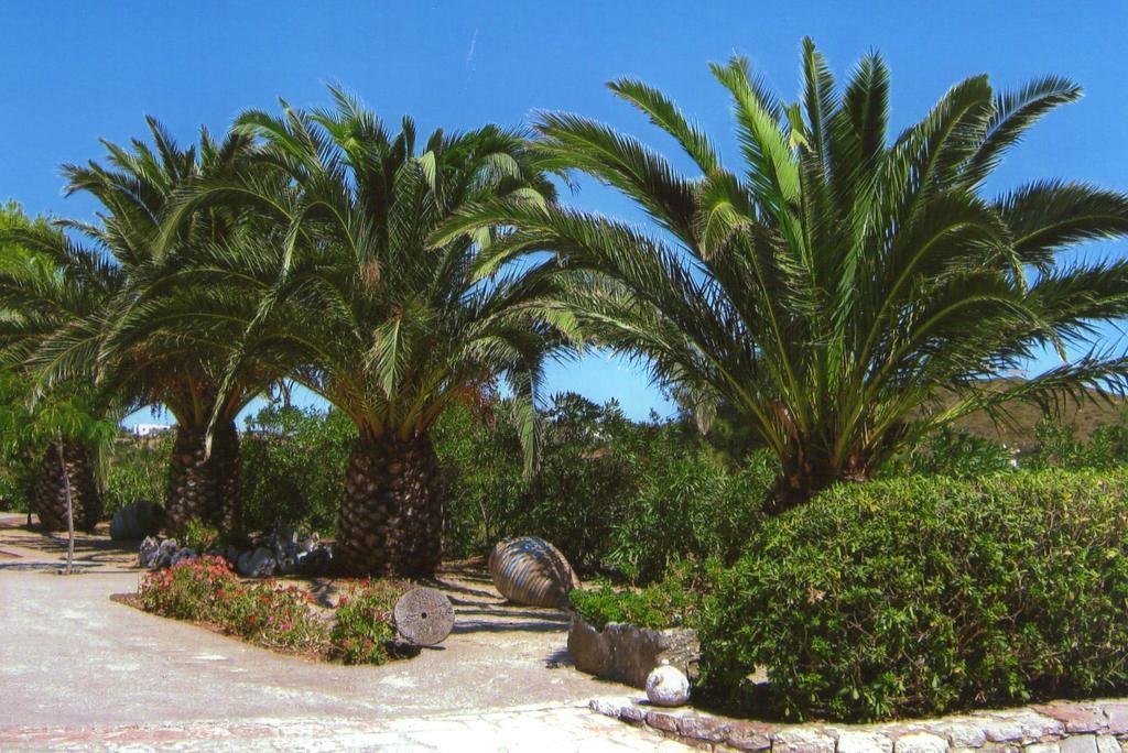 Apartmán Cerigo House